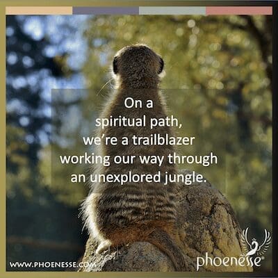 On a spiritual path, we’re a trailblazer working our way through an unexplored jungle.