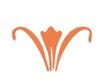 Holy Moly: The Story of Duality, Darkness and a Daring Rescue