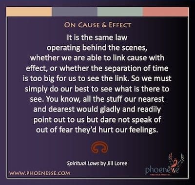 Sur la cause et l'effet : C'est la même loi qui opère en coulisse, que nous soyons capables de lier la cause à l'effet, ou que la séparation du temps soit trop grande pour que nous puissions voir le lien. Nous devons donc simplement faire de notre mieux pour voir ce qu'il y a à voir. Vous savez, toutes les choses que nos proches nous indiqueraient volontiers et volontiers, mais n'osent pas parler de peur qu'elles ne nous blessent.