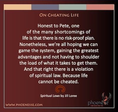 في Cheating Life: Honest to Pete ، أحد أوجه القصور العديدة في الحياة هو عدم وجود خطة مقاومة للمخاطر. ومع ذلك ، نأمل جميعًا أن نتمكن من التلاعب بالنظام ، واكتساب أعظم المزايا وعدم الاضطرار إلى تحمل العبء الذي يتطلبه الأمر للحصول عليها. وهذا الحق هناك انتهاك للقانون الروحي. لأن الحياة لا يمكن خداعها.