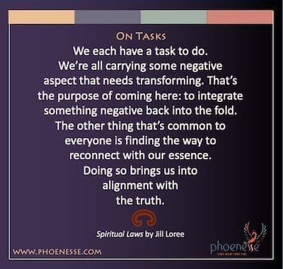 On Tasks: We each have a task to do. We’re all carrying some negative aspect that needs transforming. That’s the purpose of coming here: To integrate something negative back into the fold.The other thing that’s common to everyone is finding the way to reconnect with our essence. Doing so brings us into alignment with the truth.