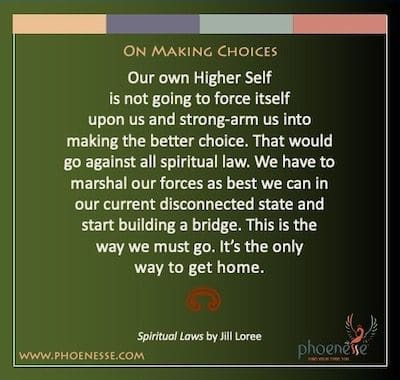 On Making Choices: Our own Higher Self is not going to force itself upon us and strong-arm us into making the better choice. That would go against all spiritual law. We have to marshal our forces as best we can in our current disconnected state and start building a bridge. This is the way we must go. It’s the only way to get home.