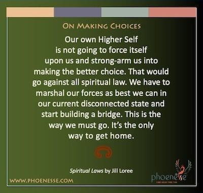 À propos de faire des choix : notre propre moi supérieur ne va pas s'imposer à nous et nous forcer à faire le meilleur choix. Cela irait à l'encontre de toute loi spirituelle. Nous devons rassembler nos forces du mieux que nous pouvons dans notre état actuel de déconnexion et commencer à construire un pont. C'est la voie que nous devons suivre. C'est le seul moyen de rentrer à la maison.