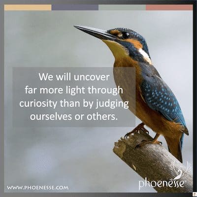우리는 우리 자신이나 다른 사람을 판단하는 것보다 호기심을 통해 훨씬 더 많은 빛을 발견할 것입니다.