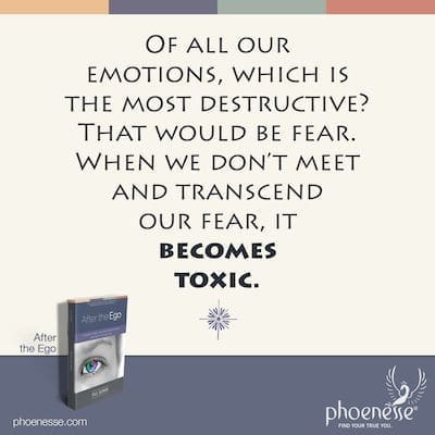 Of all our emotions, which is the most destructive? That would be fear. When we don’t meet and transcend our fear, it becomes toxic.