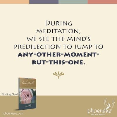 During meditation, we see the mind’s predilection to jump to any-other-moment-but-this-one.
