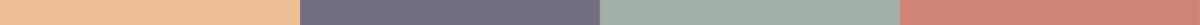 Phoenesse_Color bar_v2