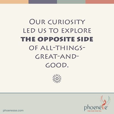 Our curiosity led us to explore the opposite side of all-things-great-and-good. Holy Moly_Phoenesse