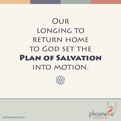 Unsere Sehnsucht, nach Hause zu Gott zurückzukehren, setzte den Erlösungsplan in Gang. Heilige Moly_Phoenesse