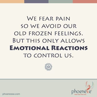 Tememos al dolor porque inconscientemente creemos que significa muerte. Evitamos nuestros viejos sentimientos congelados como una forma de evitar el dolor. Pero esto solo permite que nuestras Reacciones Emocionales nos controlen. Cegado por Fear_Phoenesse