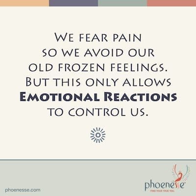 Wir haben Angst vor Schmerz, weil wir unbewusst glauben, dass es den Tod bedeutet. Wir vermeiden unsere alten eingefrorenen Gefühle, um Schmerzen zu vermeiden. Aber dies erlaubt nur unseren emotionalen Reaktionen, uns zu kontrollieren. Geblendet von Fear_Phoenesse