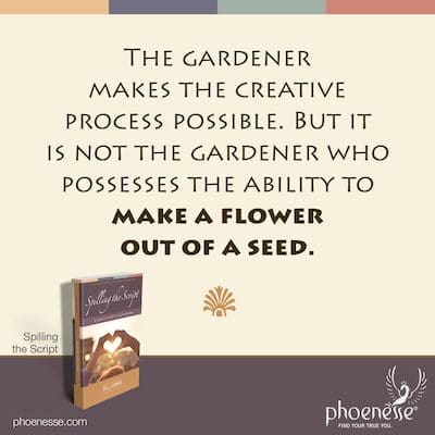 Ginagawang posible ng hardinero ang proseso ng paglikha. Ngunit hindi ang hardinero ang nagtataglay ng kakayahang gumawa ng bulaklak mula sa isang buto.