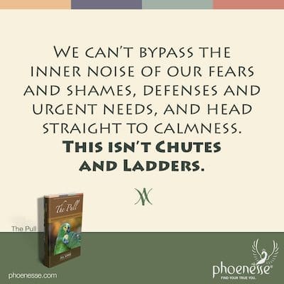 No podemos eludir el ruido interno de nuestros miedos y vergüenzas, defensas y necesidades urgentes, y dirigirnos directamente a la calma. Esto no es Chutes and Ladders.