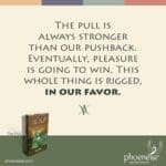 The Pull The Pull