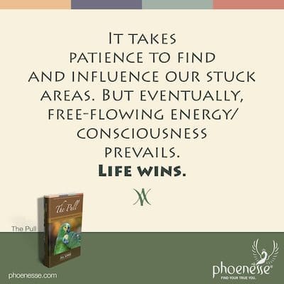 Es erfordert Geduld, unsere festgefahrenen Bereiche zu finden und zu beeinflussen. Aber schließlich setzt sich frei fließende Energie/Bewusstsein durch. Das Leben gewinnt.